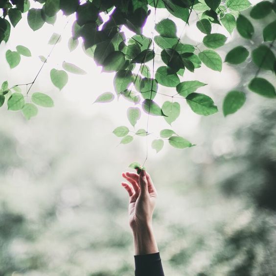 زهرا کوهزاد