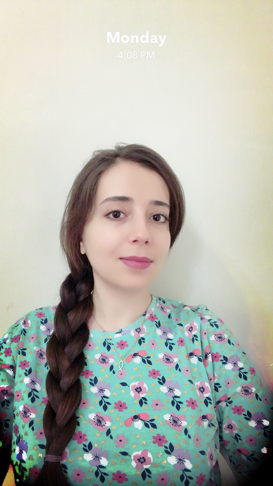 انیس میرزاوند