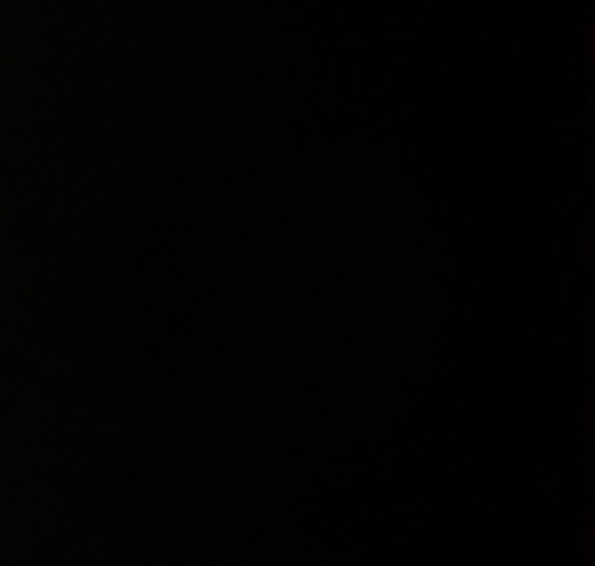 سید آروین حیدری