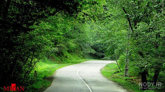 احسان سلامتی