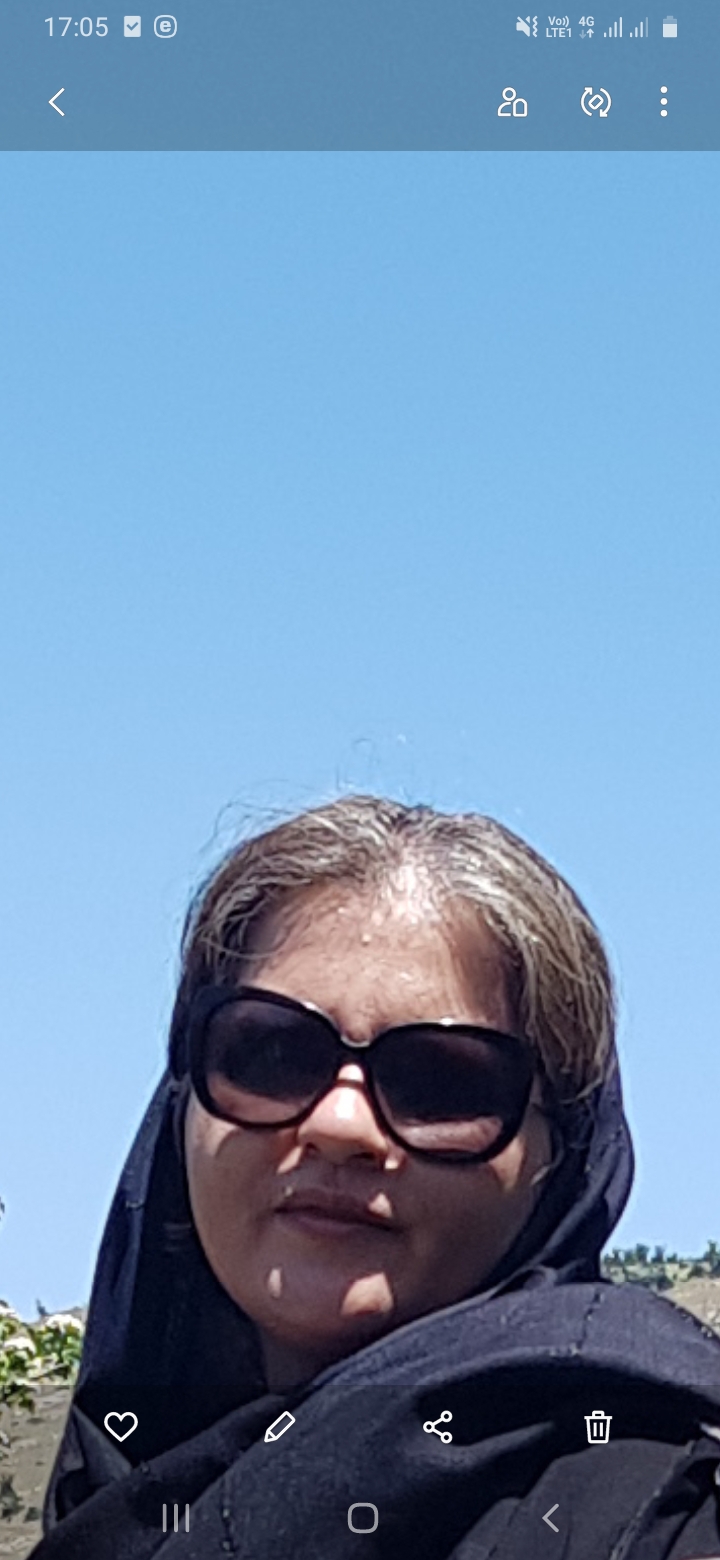 مائده اکبری