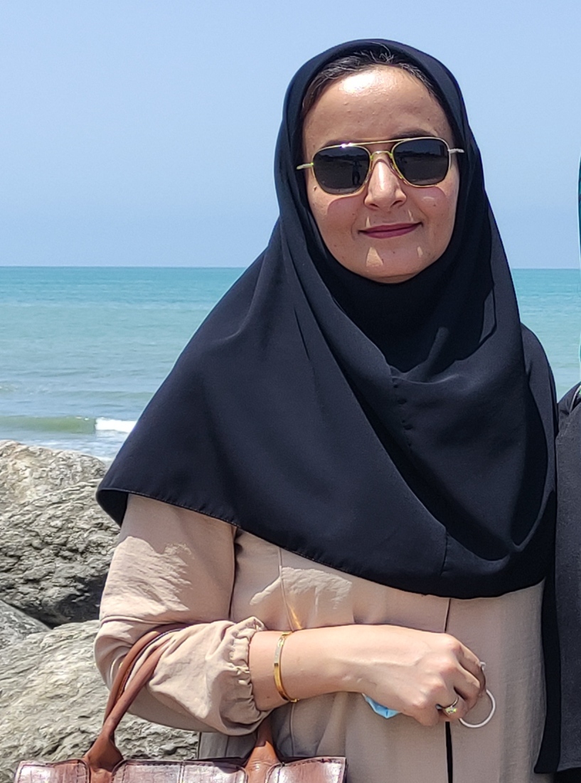 مینا اسمعیلی