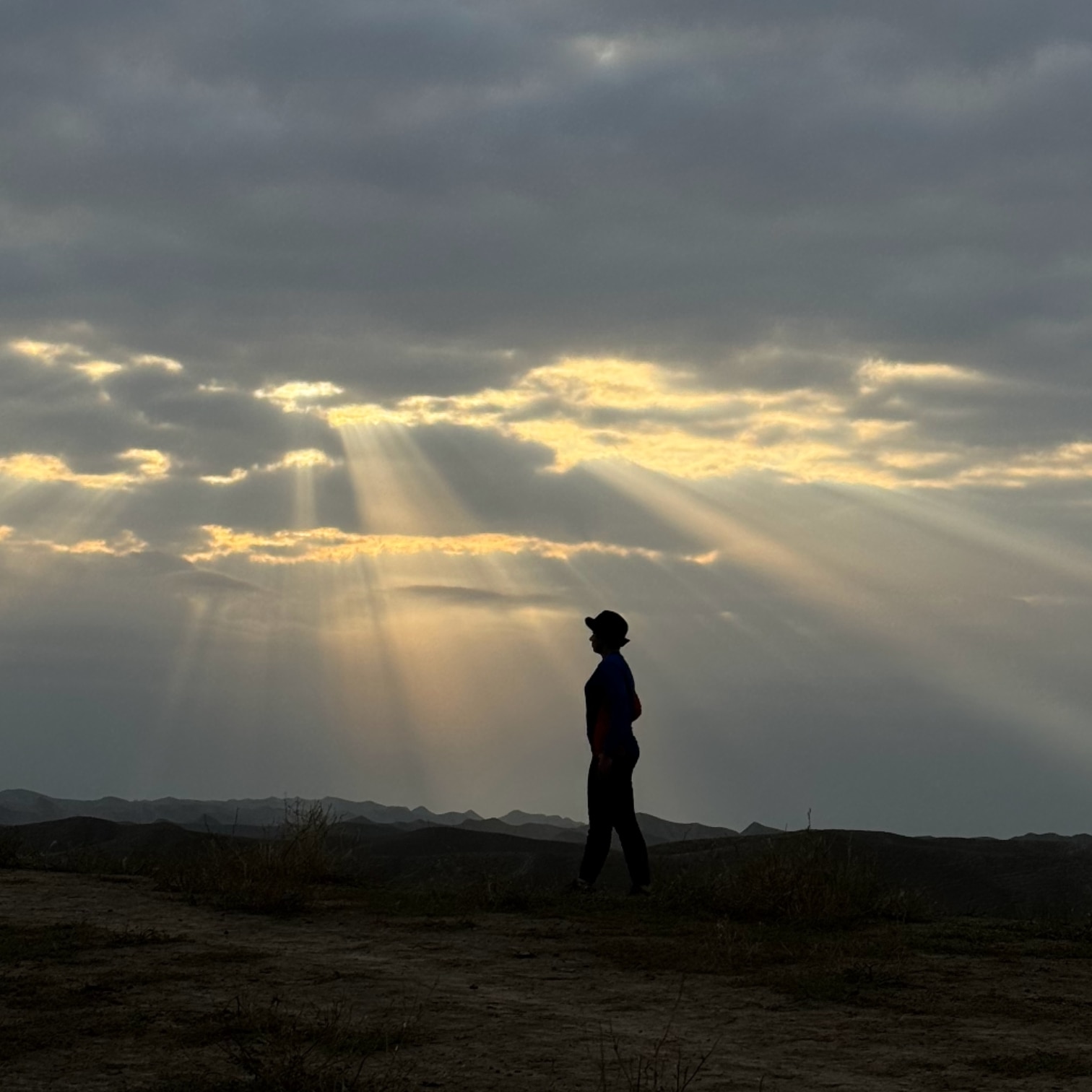 سمانه فراهانی