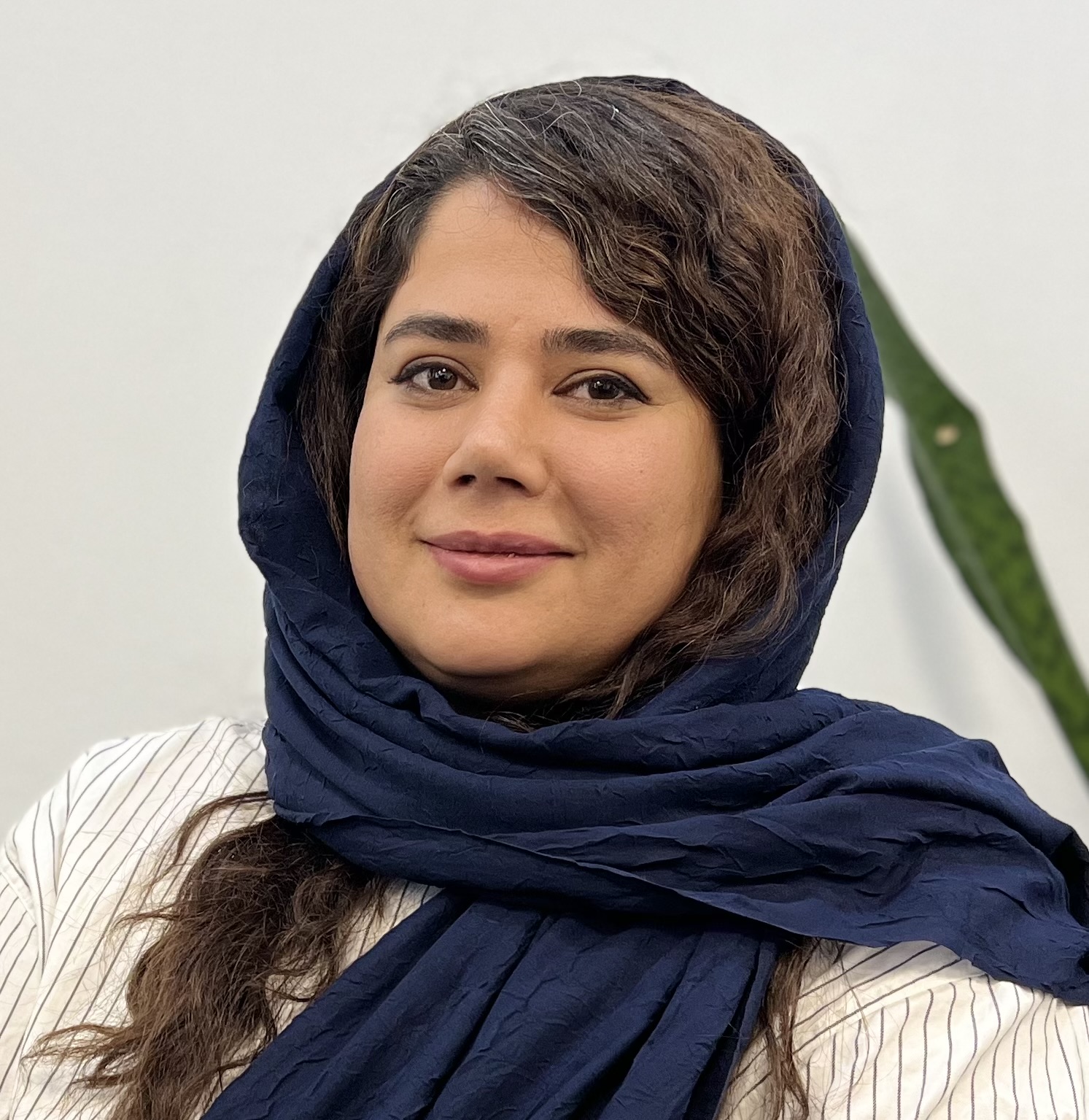 حمیده خورسندی